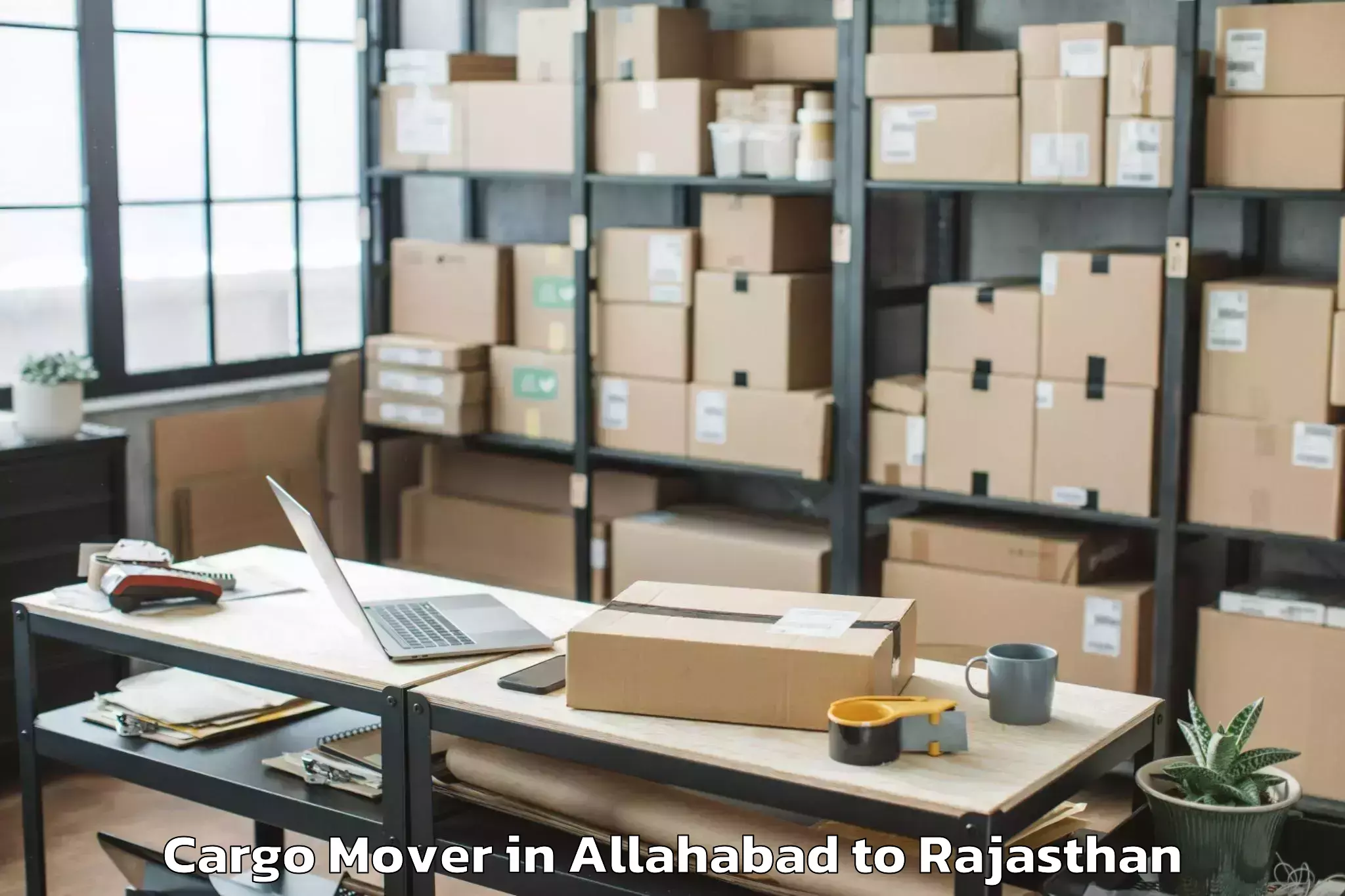 Professional Allahabad to Pindwara Cargo Mover